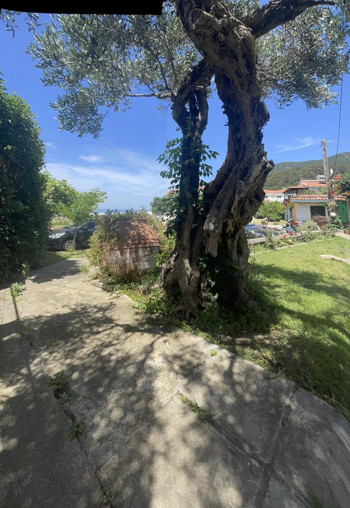 Eleni Del Sol Apartment Skopelos Town Exterior photo